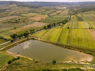 Se vinde afacere activă în s. Dolna, Strășeni, Chișinău foto 10