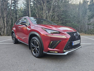 Lexus NX Series