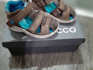 Еcco 20 р.