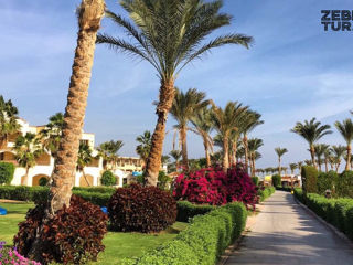 Egipt, Sharm El Sheikh - Regency Plaza Aqua Park & Spa Resort 5* foto 5