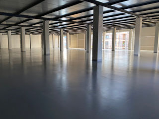 Calarasi Chirie Spatiu Comercial 2700 m2 foto 8