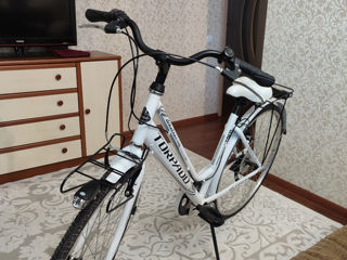 Bicicletă Torpado Albatros – T481 foto 4