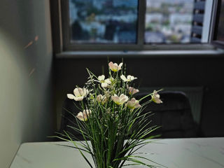 Ap. 2 cam., 74 м², 11/19 et.