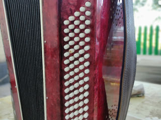 Acordeon Romasca foto 4