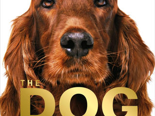 The Dog Encyclopedia: The Definitive Visual Guide (DK Pet Encyclopedias)