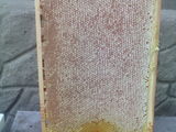 avem in vânzare miere  ,propolis si  familii de albini foto 2