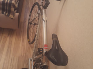 Cursiera Specialized foto 2