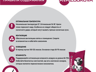 Premix pentru iepuri din ziua a 20-a si iepuri mama AVA Rabbit MIX 5% foto 6
