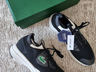 Lacoste, Adidas, Vans foto 2