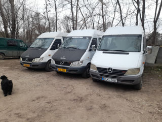 Mercedes Sprinter 313 foto 2