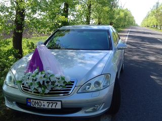 Заказ свадебного кортежа в Бельцах и ближайших районах foto 2