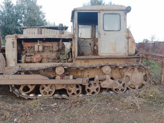 T  74 foto 2