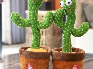 Cactus-Кактус танцует,повторяет,поет. foto 6