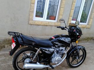 Viper 150cc foto 4