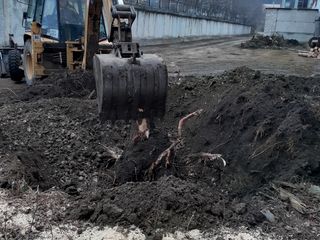 Curatenie pe teren Curatenie in gradina  Уборка огорода foto 3