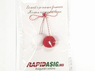 Martisor Мэрцишор Rapidasig 2019