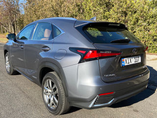Lexus NX Series