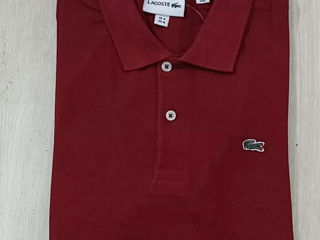 Lacoste polo foto 2