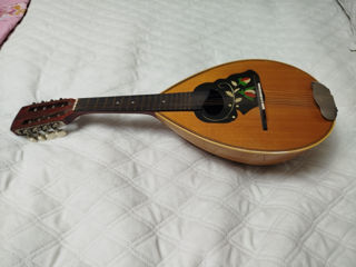 Mandolin foto 3