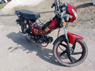 Piaggio Ciao foto 2