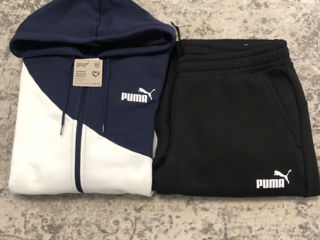 Puma costum org