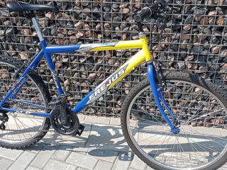 Bicicleta MTB (19/160-185 cm) 2300 lei