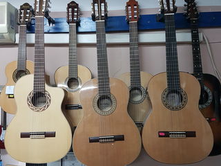 Новые поступления гитар акустических гитар в музыкальном магазине Pro-Arta !!! foto 8