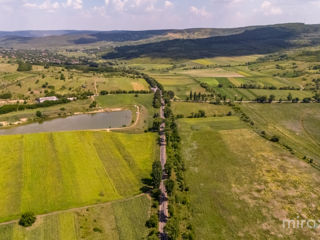 Se vinde afacere activă în s. Dolna, Strășeni, Chișinău foto 14