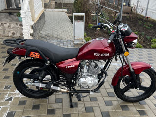 Wolf Motors Tiger 150 foto 6