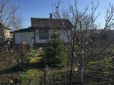 Vînd  vilă (casa) in sat. Chetroasa,15 km. de la Chișinău - 10 000 eur foto 9