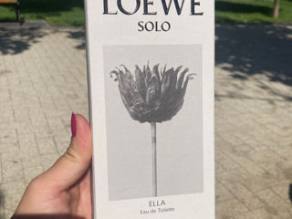 Loewe solo