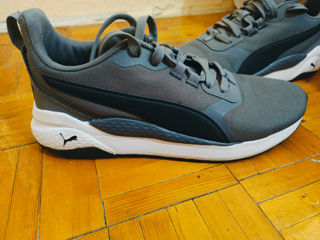 Puma Gray - 43