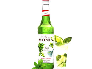 Sirop de Busuioc Monin Sticlă 700 ml, Livrare Moldova Chisinau