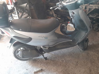 Piaggio foto 5