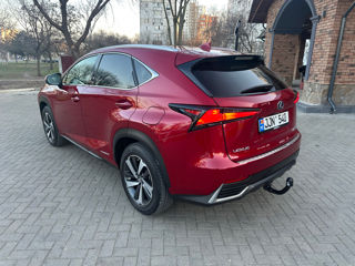 Lexus NX Series foto 4