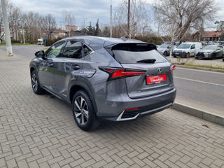 Lexus NX Series foto 7