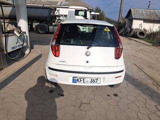 Fiat Punto foto 4