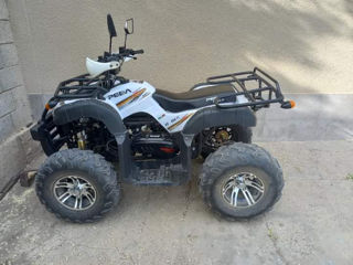 Boss ATV Peda foto 2