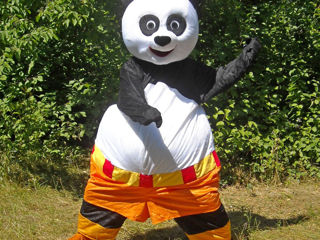 Chirie costume: Iepuras, Minion, Winnie the Pooh, Tigra, Panda, Ninja, Miky si Mini Mouse