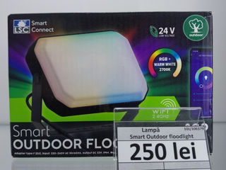 Lampa Smart OutDoor floodlight