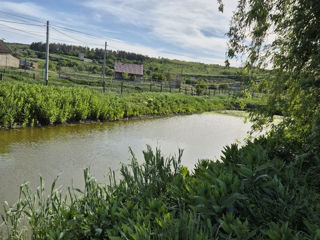 Complex rural Casa Zeita in s. Carbuna (Ialoveni) foto 4