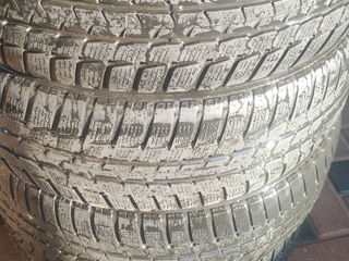 205/55 R17 зима