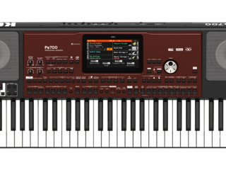 Korg Pa 700 Aranjator Profesional foto 3