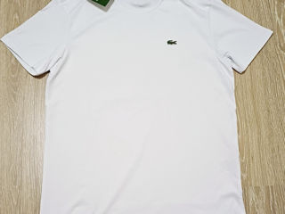 U.S.Polo, Tommy Hilfiger, Lacoste, Hugo BOSS, Polo Ralph Lauren