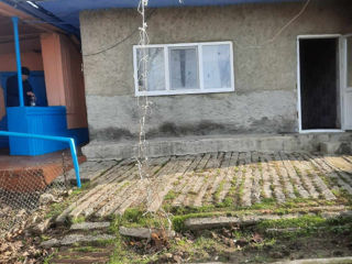 Se vinde urgent casă  satul tartaul de salcie orașul Cahul foto 4