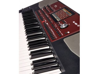 Korg PA 700 - IN STOC фото 2