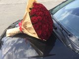 101 trandafiri moldovenesti de la 1300 lei! foto 1