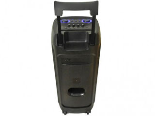 Eden Party Speaker ED-1015 with 2 Wireless Microphones 100W, 10", Black foto 2