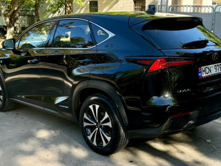 Lexus NX Series foto 4