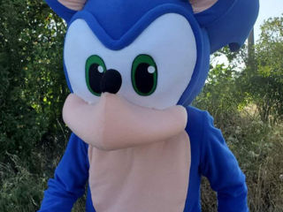 Costum Sonic